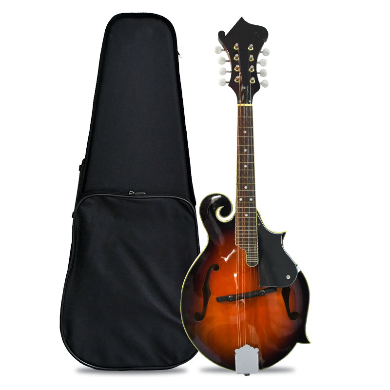 F Style Mandolin, 8 String Aco - Mandolin A Style review and price