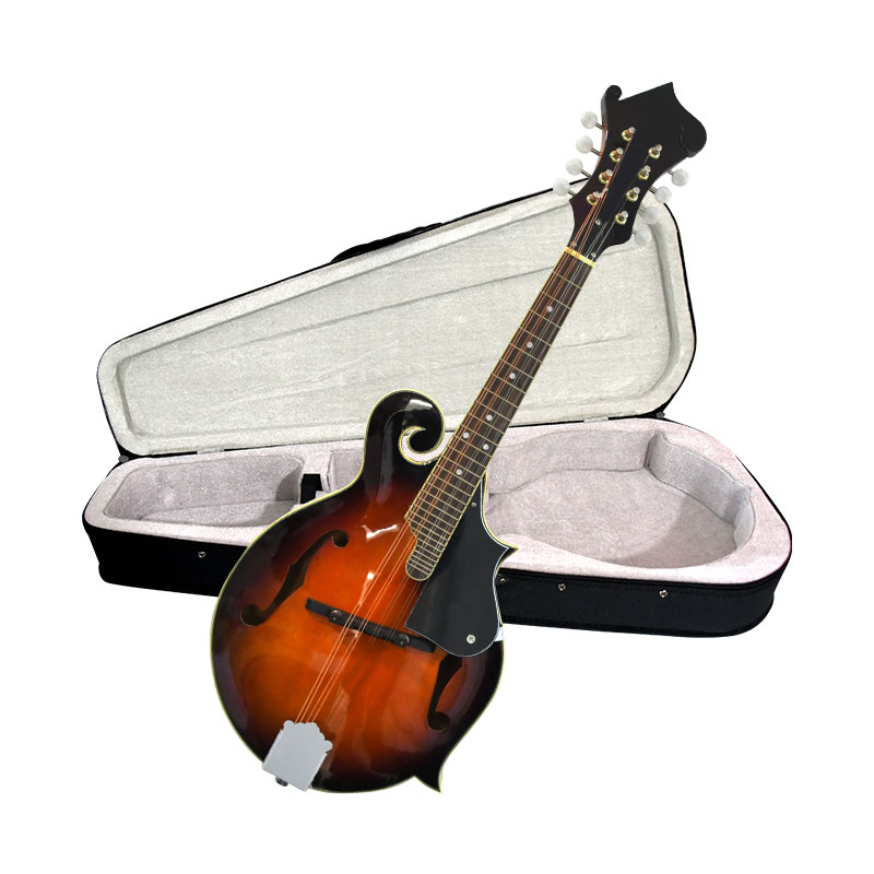 F Style Mandolin, 8 String Aco - Mandolin A Style review and price