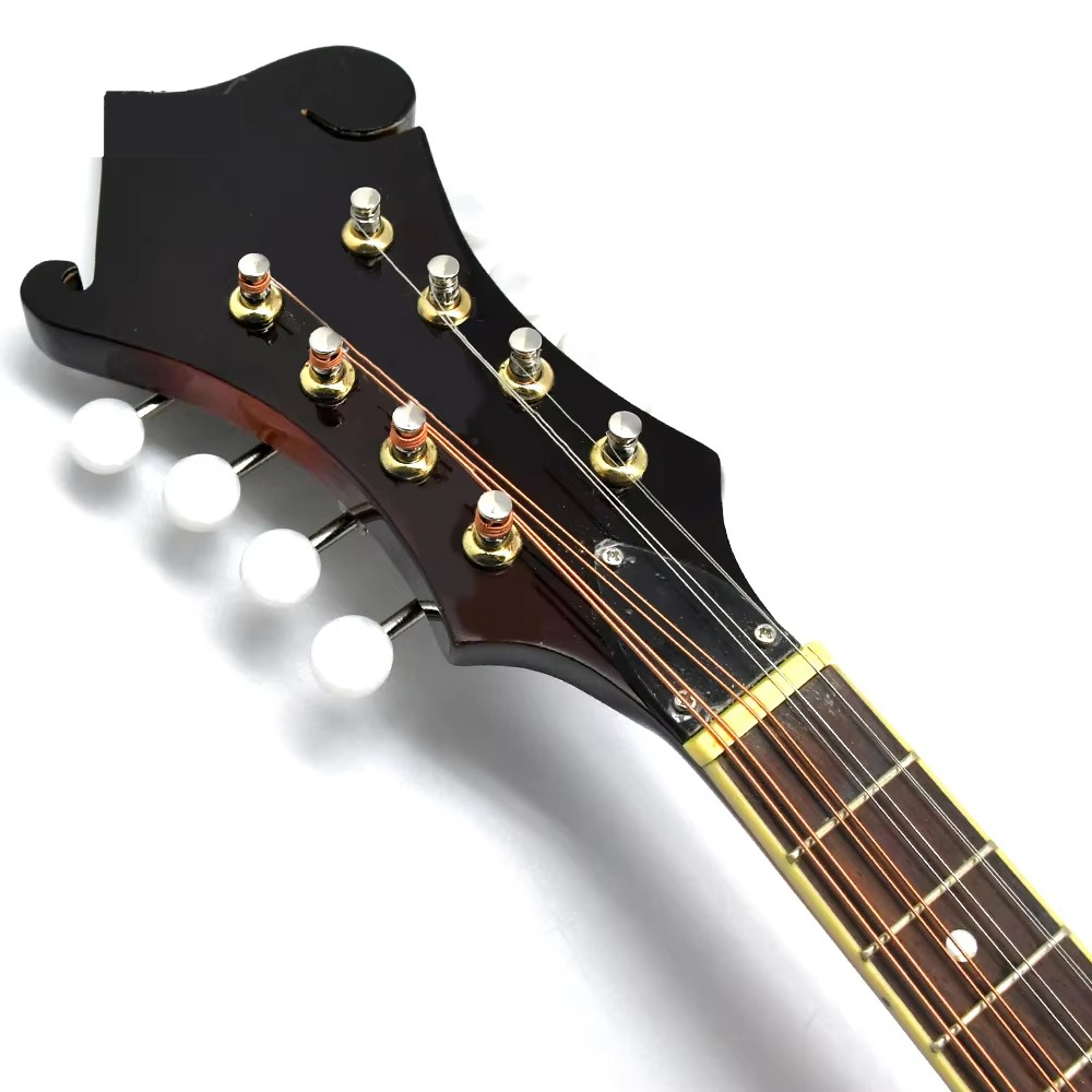 F Style Mandolin, 8 String Aco - Mandolin A Style review and price