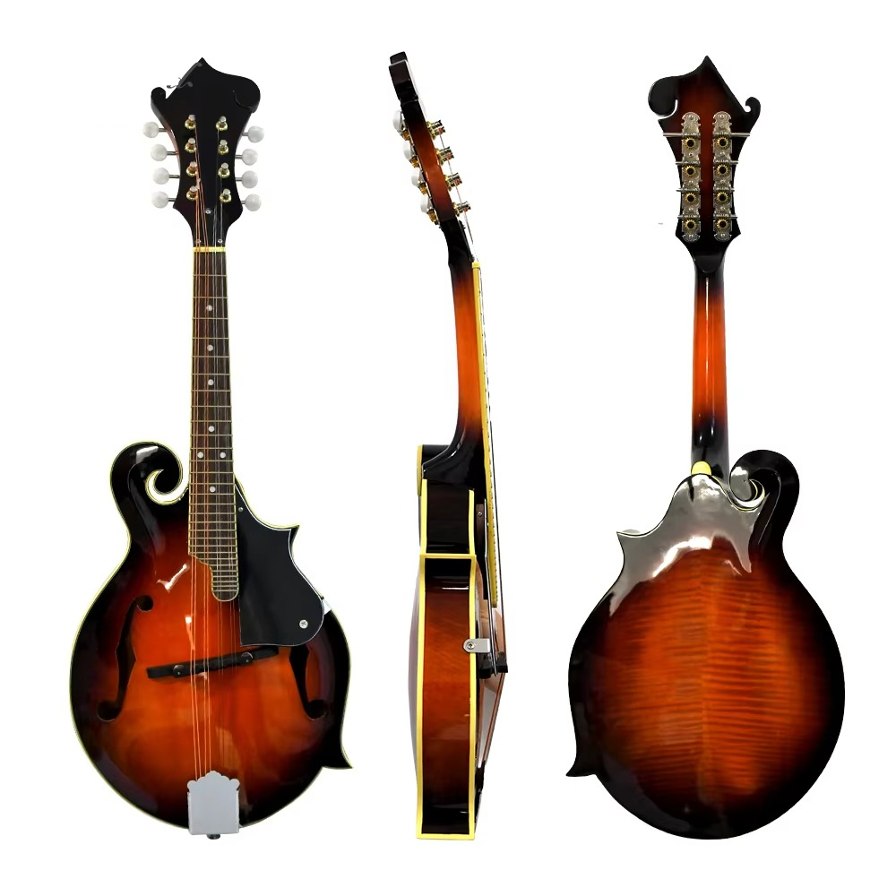 F Style Mandolin, 8 String Aco - Mandolin A Style review and price
