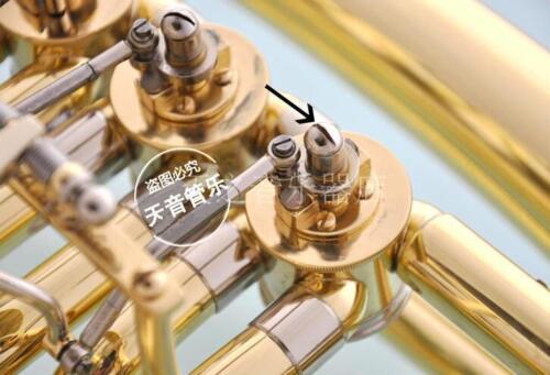 50 pcs New French Horn Euphoni - Musical Instrument Euphonium review and price