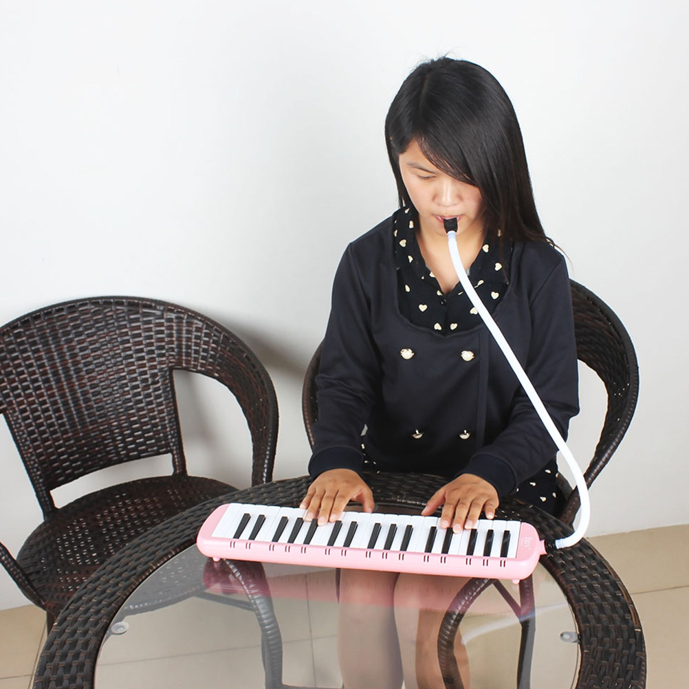 37 Keys Pianica Musical Instru - Musical Instrument Melodica review and price