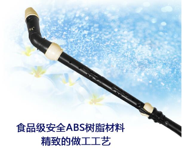 Professional 8 Holes Baroque B - Recorder Baroque Style review and price