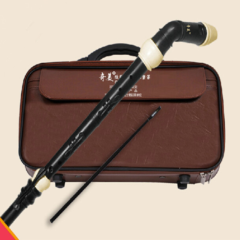 Professional 8 Holes Baroque B - Recorder Baroque Style review and price