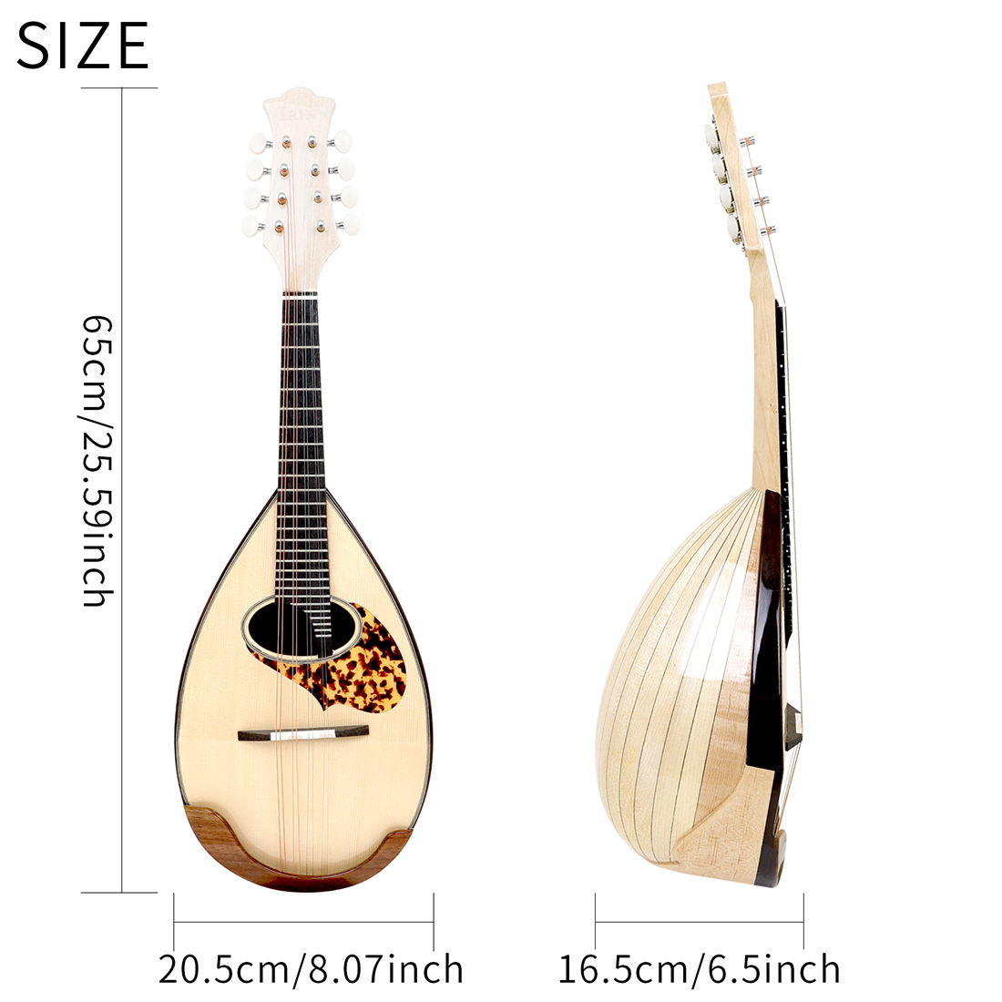 IRIN 8 String Mandolin Bowl Ba - Mandolin A Style review and price