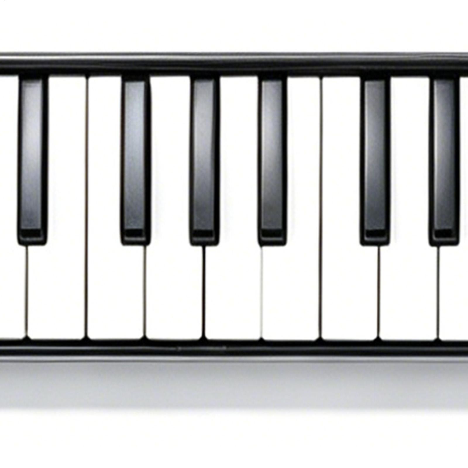 Melodica Instrument 32-Key Por - Musical Instrument Melodica review and price