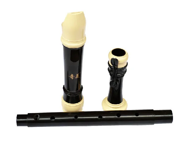 QiMei Brand Professional 8 Hol - Recorder Baroque Style review and price