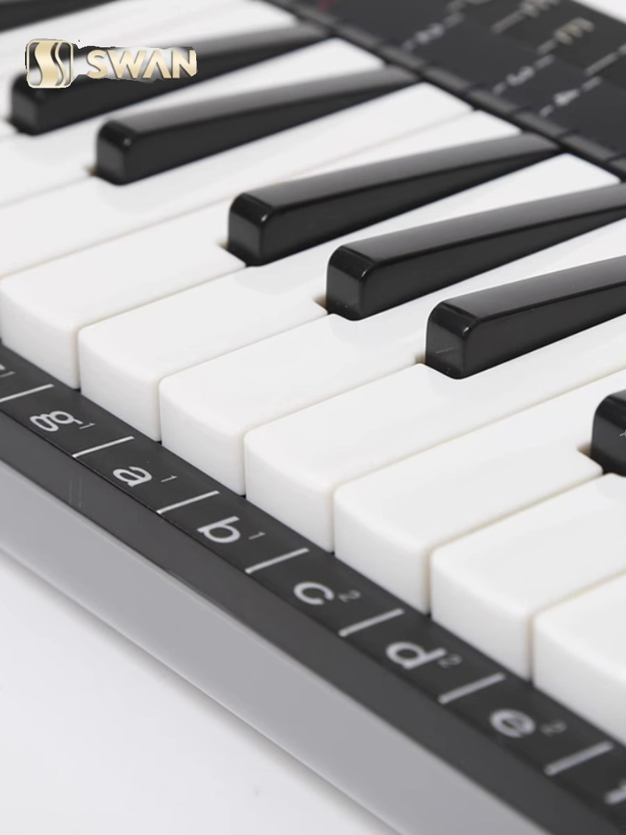 37 Key Professional Melodica S - Musical Instrument Melodica review and price
