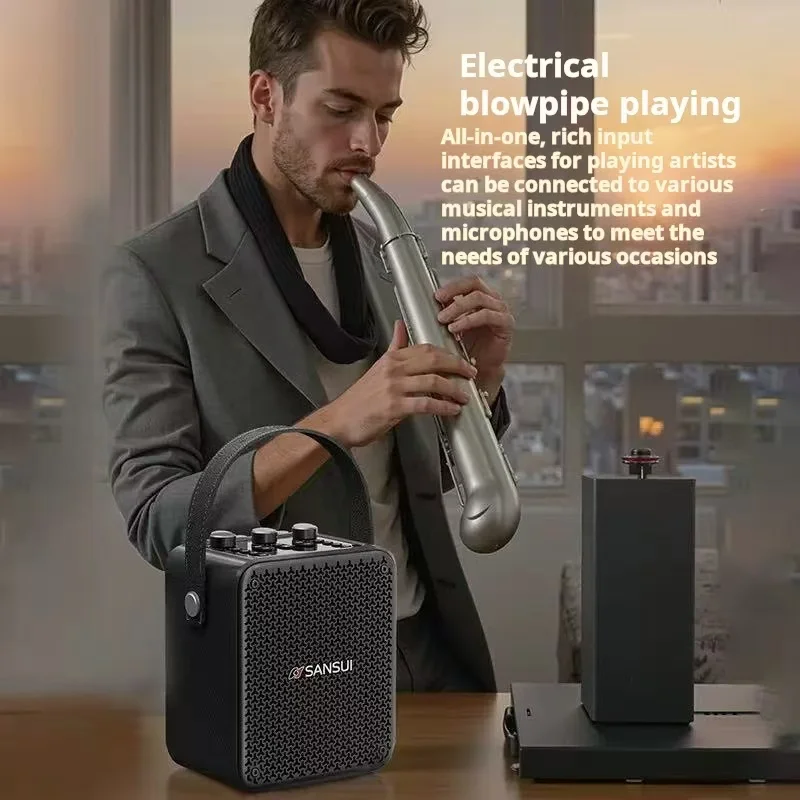 SANSUI T81 Portable Wireless B - Musical Instrument Video review and price